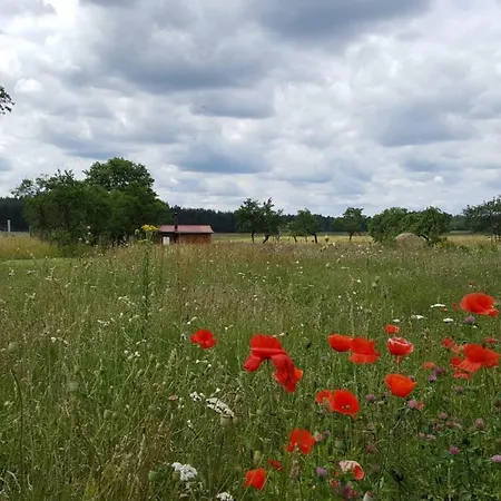 Nahe Luebbesee