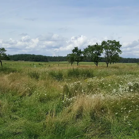 Nahe Luebbesee